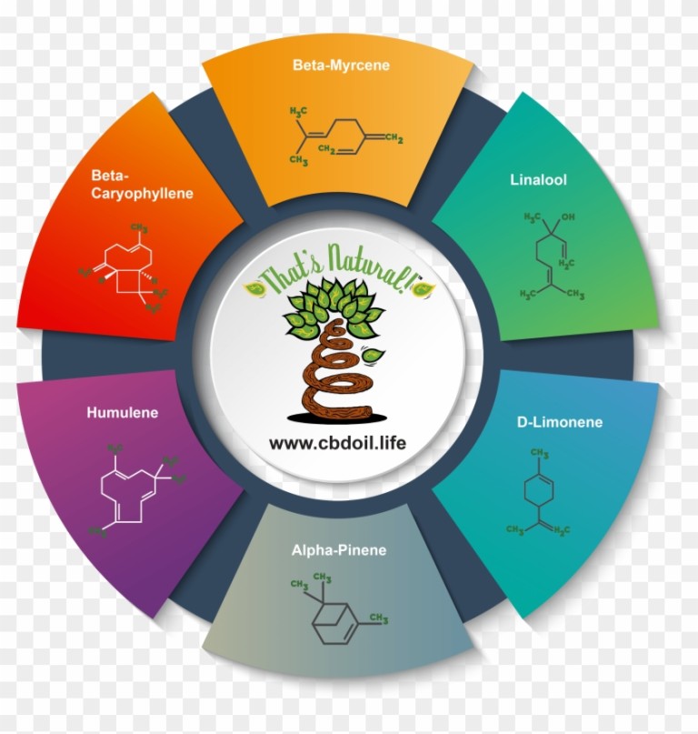 Terpenes and their relationship to cannabinoids